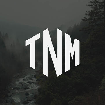Letter TNM Logo
